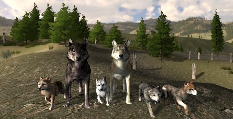 Image Source: Wolf Quest (3D wildlife simulation)